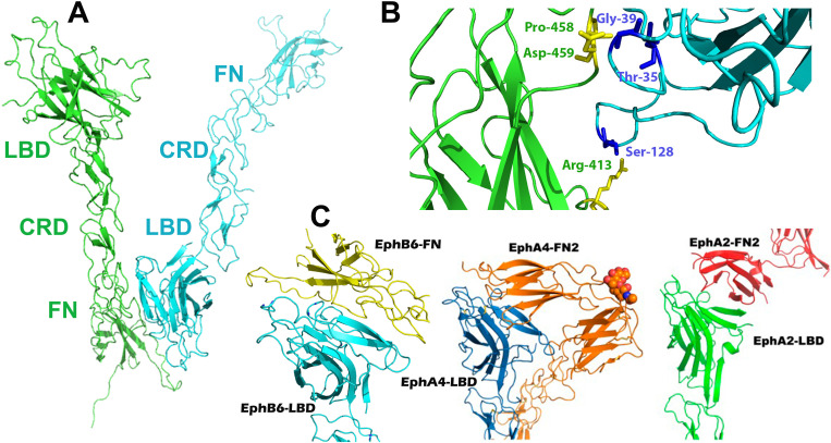 Fig 6