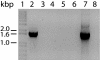 Fig. 5.