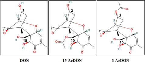 FIGURE 1.