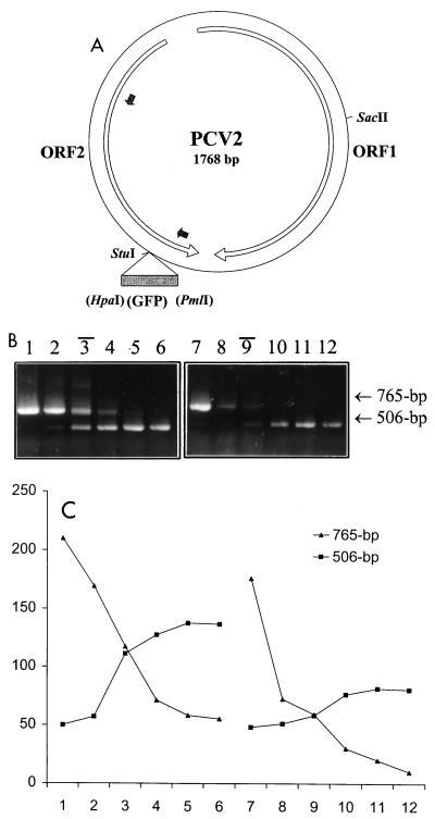 FIG. 1