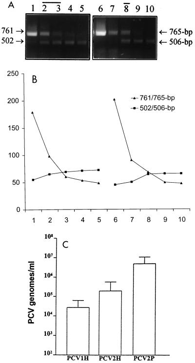 FIG. 3