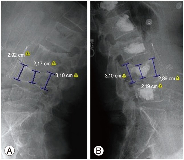 Fig. 8