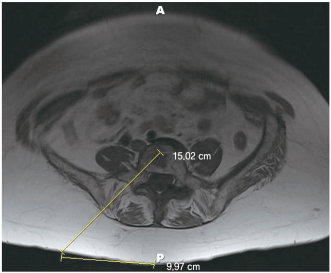 Fig. 5