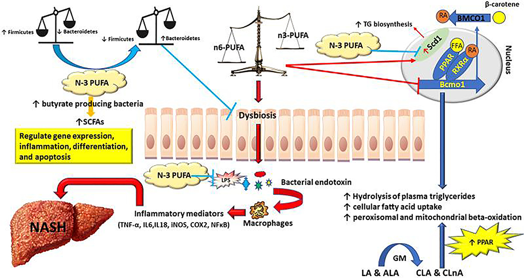 Figure 2: