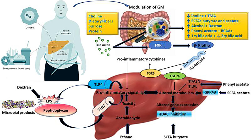 Figure 1: