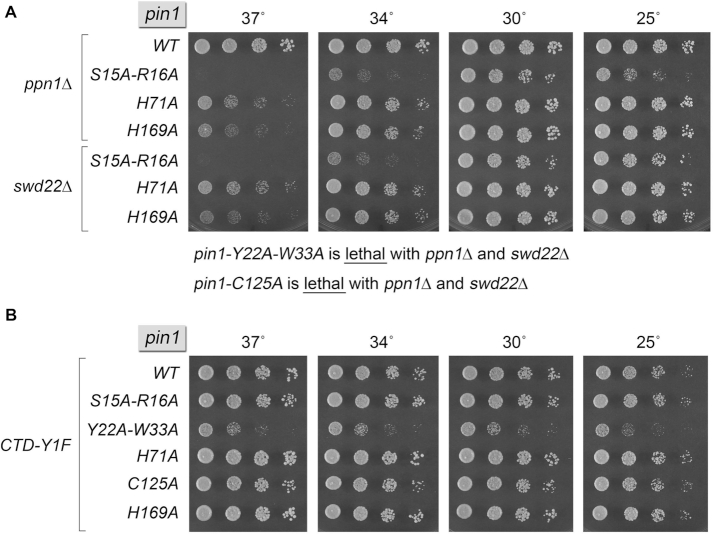 Figure 5.