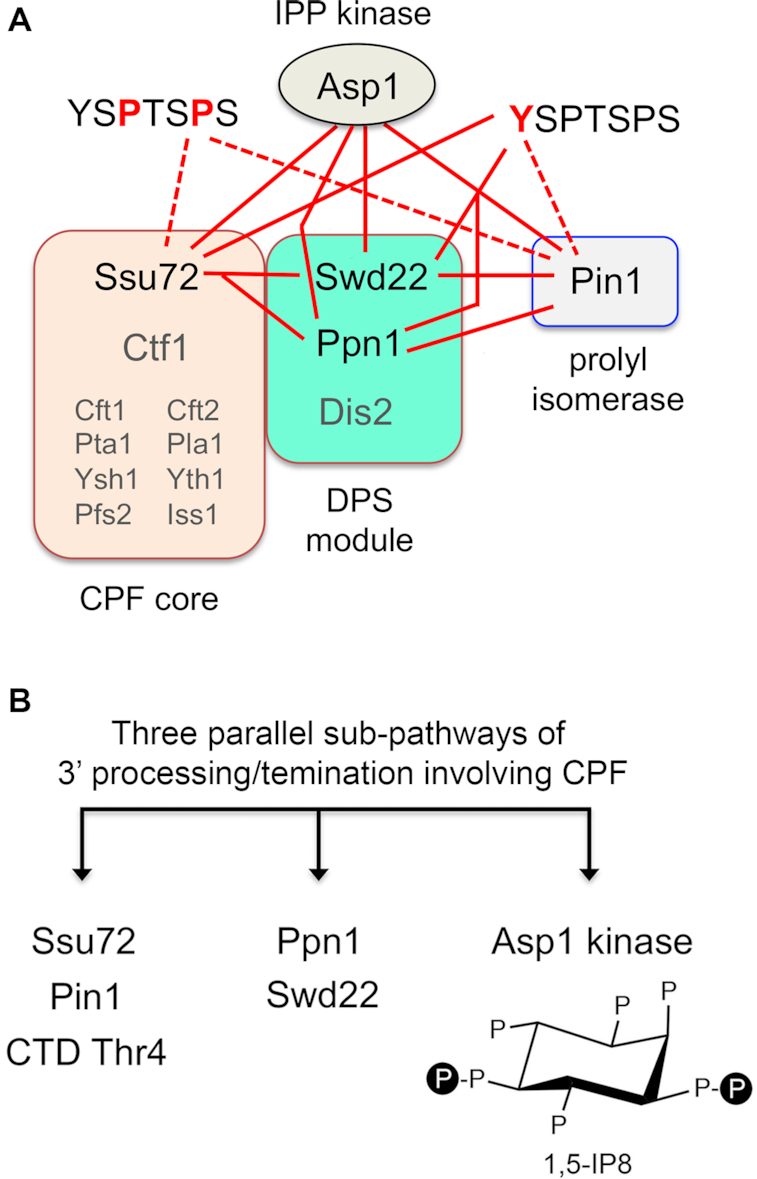 Figure 12.