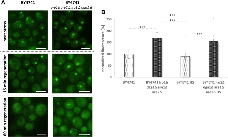 Fig. 7