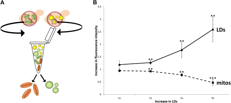 Fig. 3