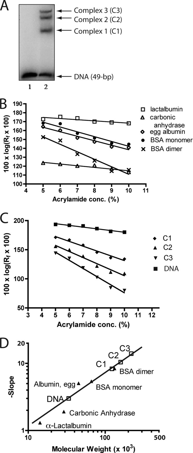 Fig 6