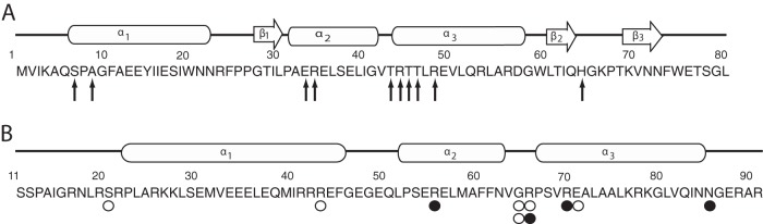 Fig 5