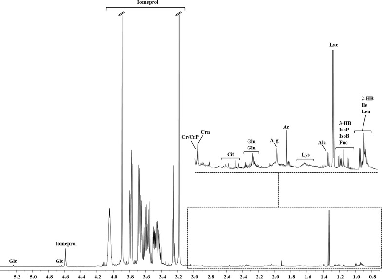 Fig. 1