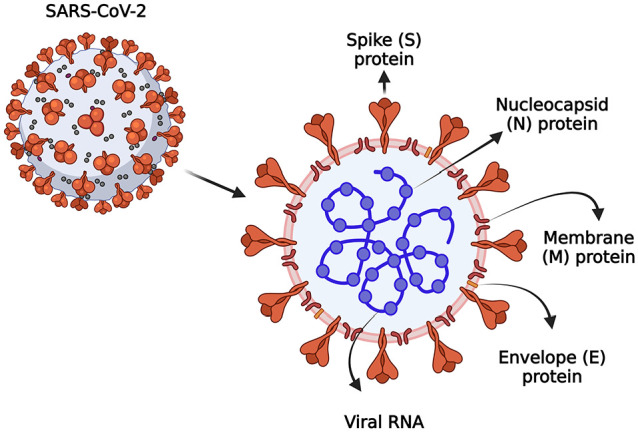 Figure 1.