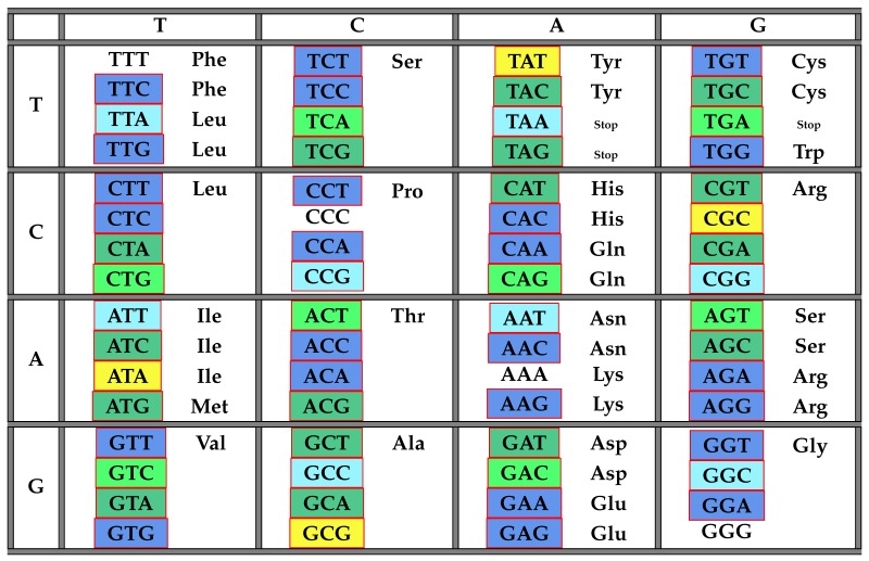 graphic file with name life-06-00014-i006.jpg