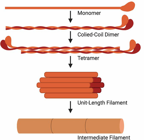 Figure 5: