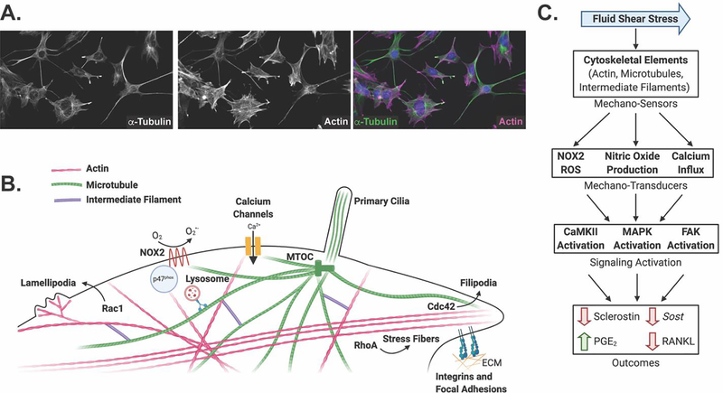 Figure 1: