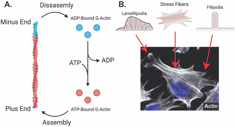 Figure 4: