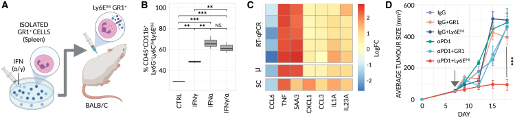 Figure 4