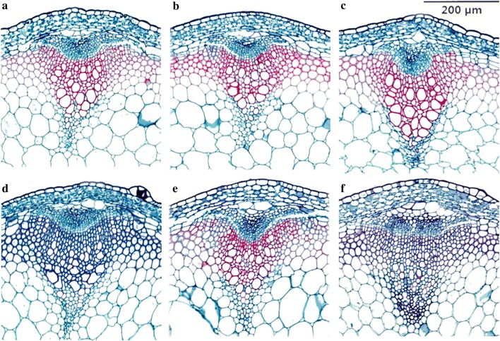 Fig. 4