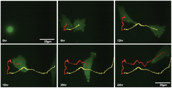 Figure 6