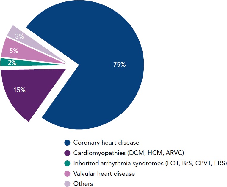 Figure 2:
