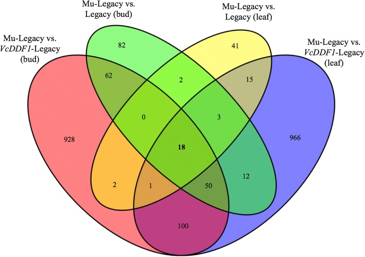 Fig. 8