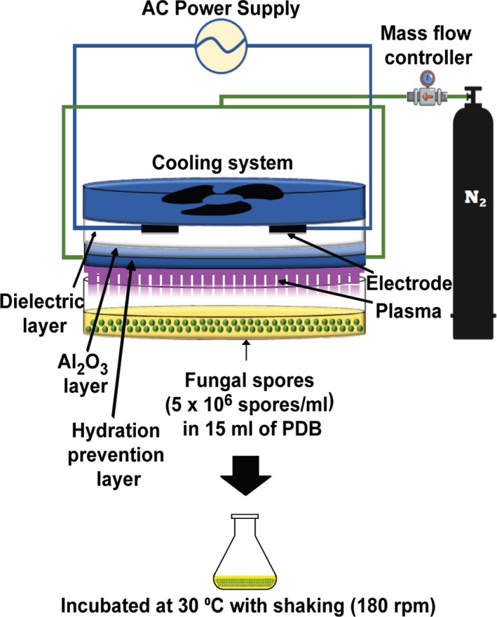 Fig. 1