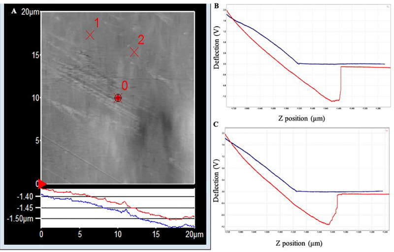 FIGURE 3