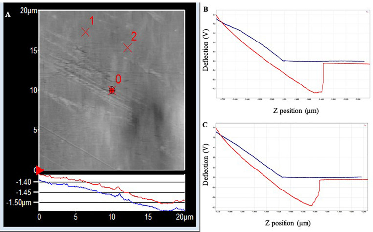 FIGURE 4