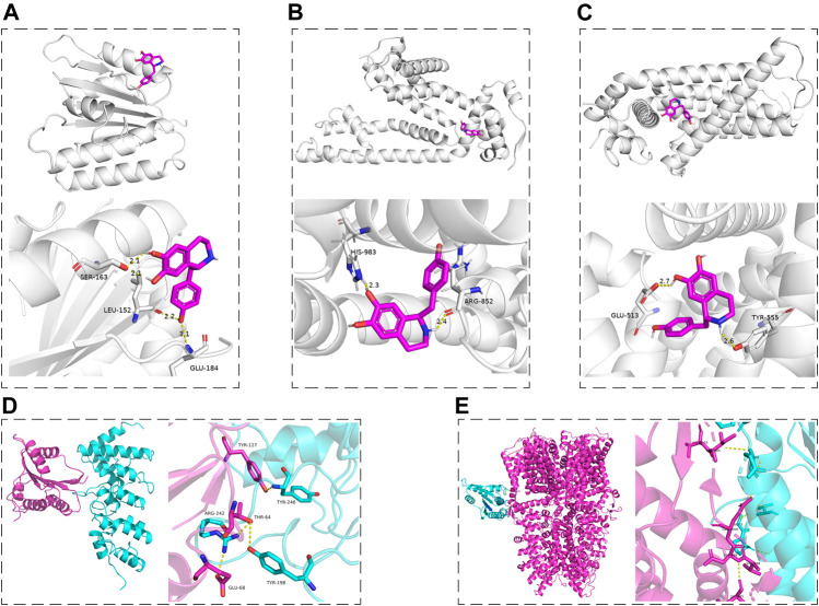 FIGURE 10