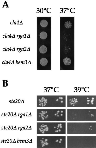 FIG. 5.