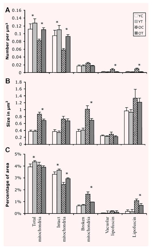 Fig. 9