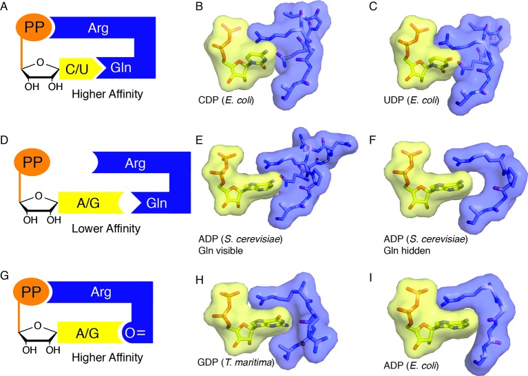 Figure 10.