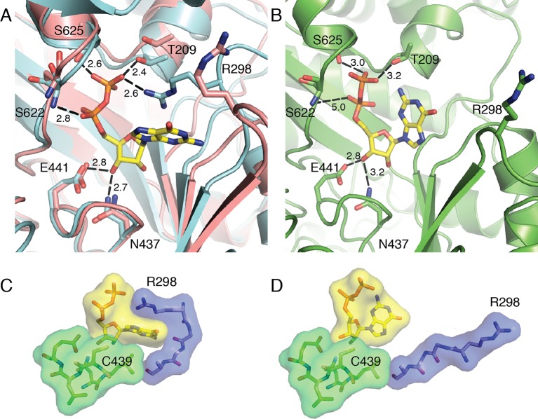 Figure 4.