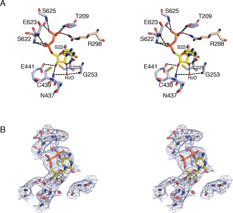 Figure 5.