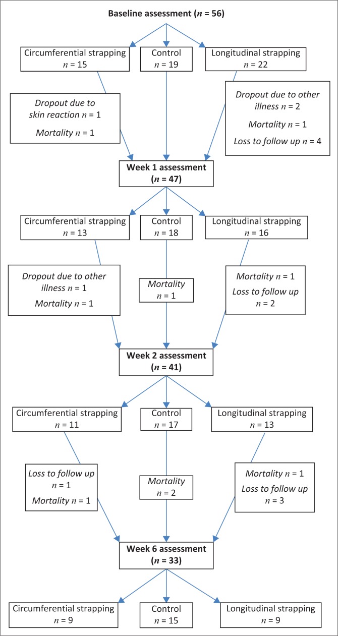 FIGURE 3