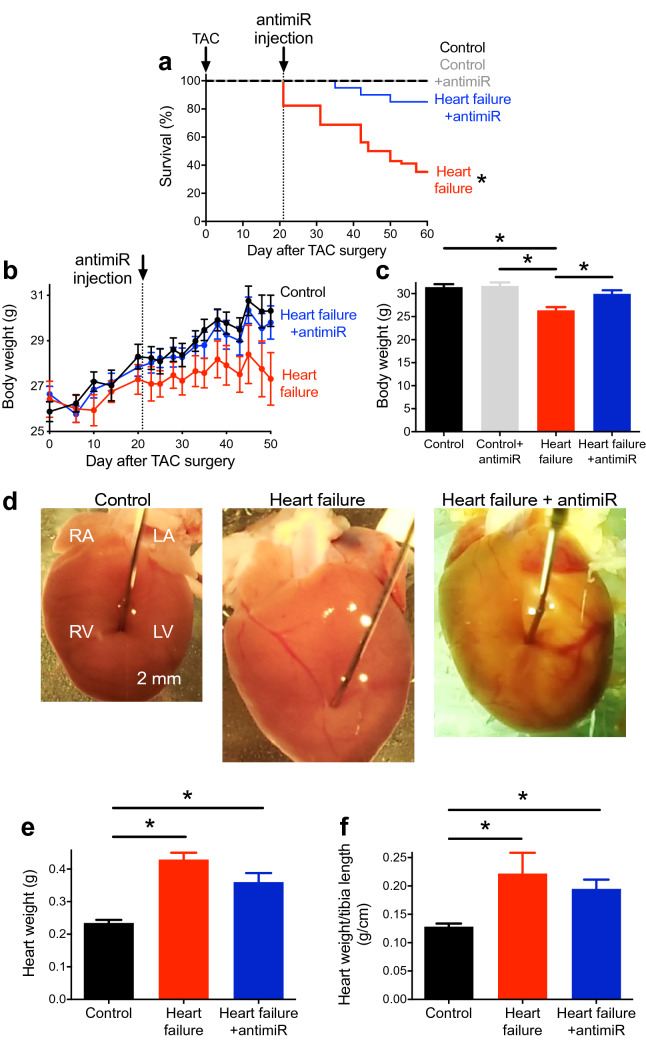 Fig.1