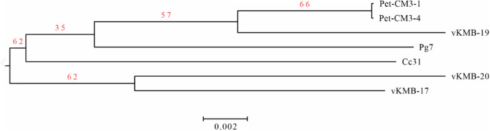 Fig 2