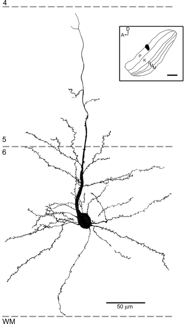 Figure 12