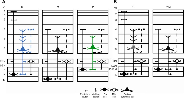 Figure 16