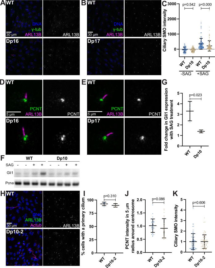 Figure 6—figure supplement 1.