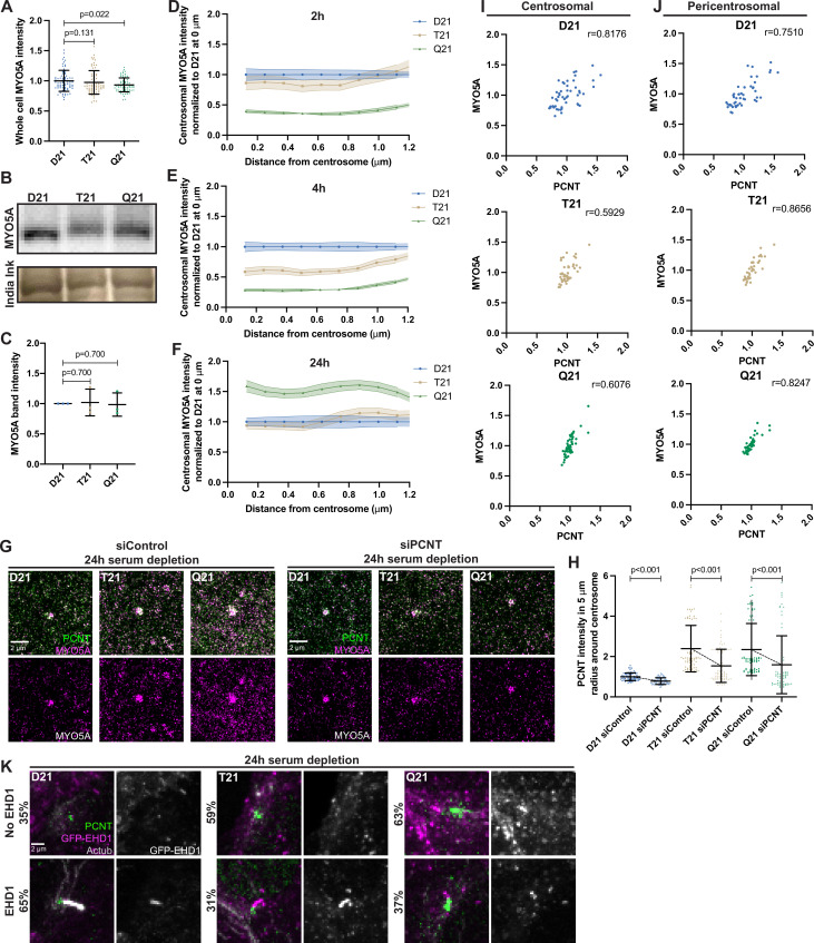 Figure 3—figure supplement 1.