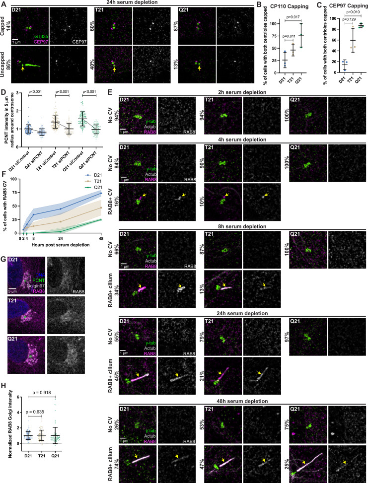 Figure 4—figure supplement 1.