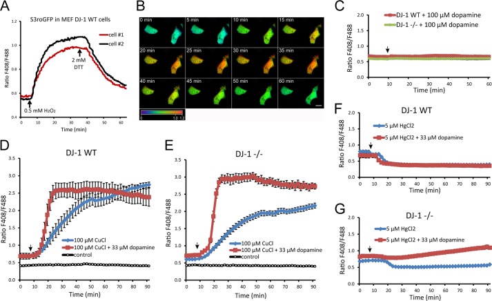 FIGURE 6.