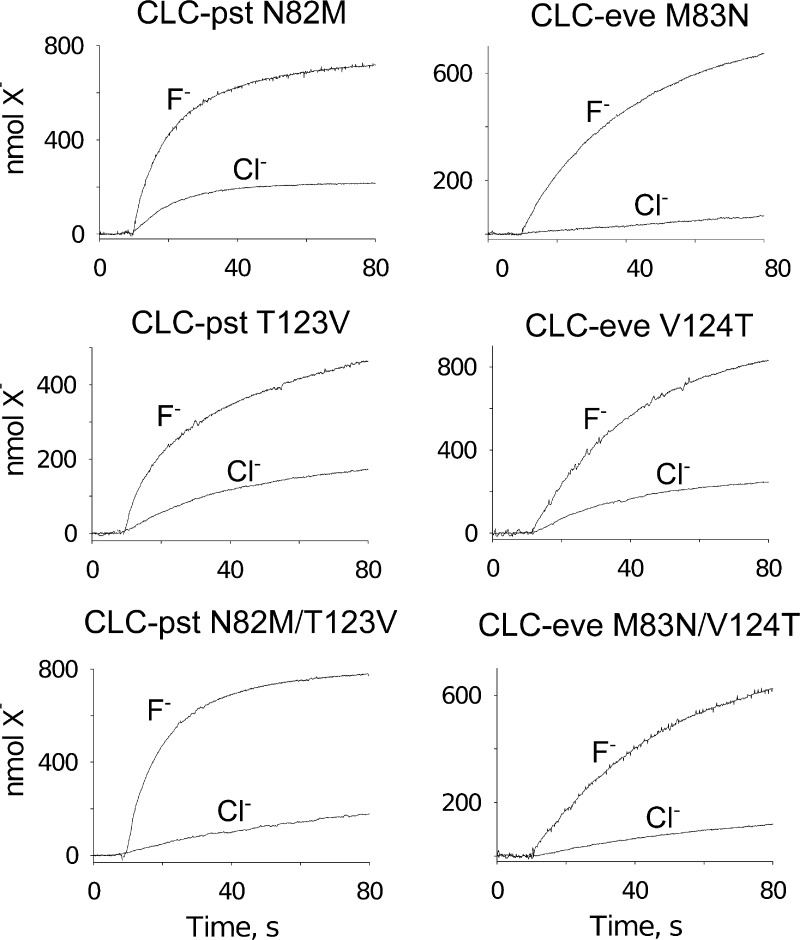 Figure 5.