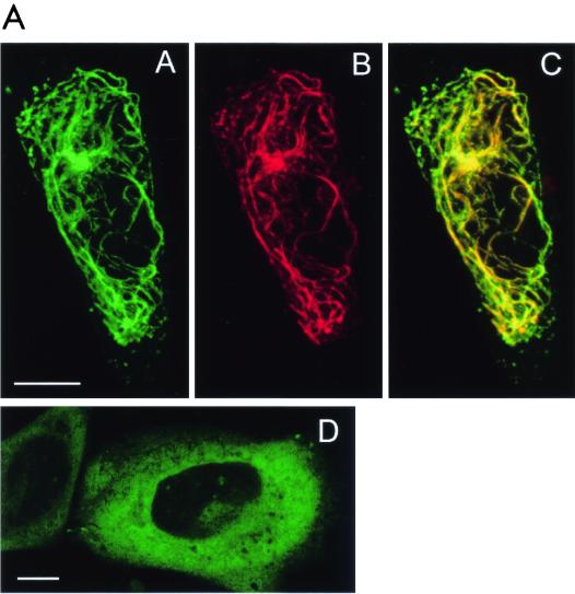 FIG. 9.