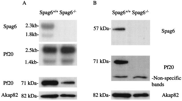 FIG. 10.