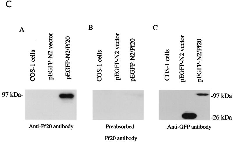 FIG. 9.