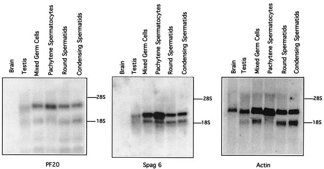 FIG. 5.