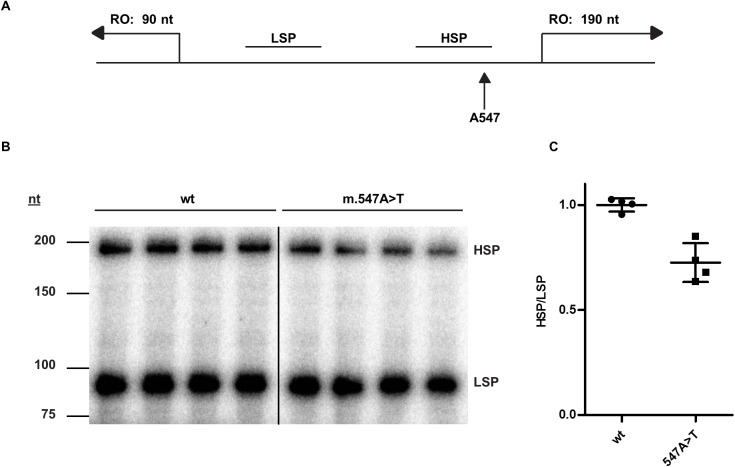 Fig 5